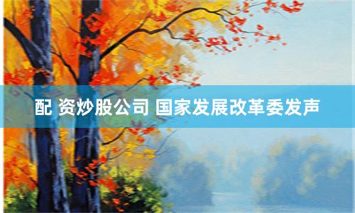 配 资炒股公司 国家发展改革委发声