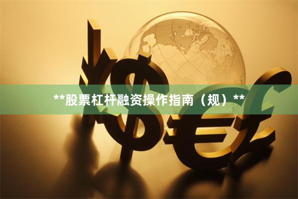 **股票杠杆融资操作指南（规）**
