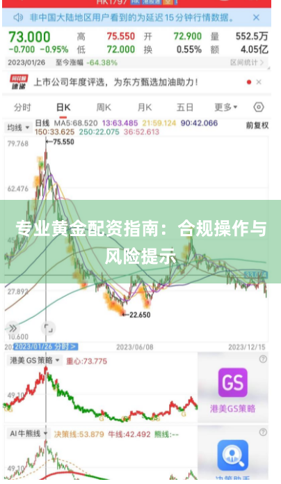 专业黄金配资指南:合规操作与风险提示